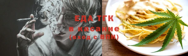 дживик Бородино