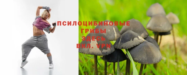 ешки Богородицк