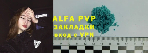 дживик Бородино