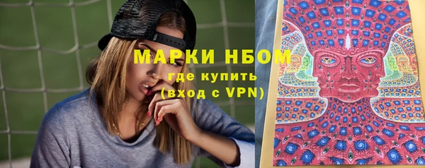 шишки Богородск