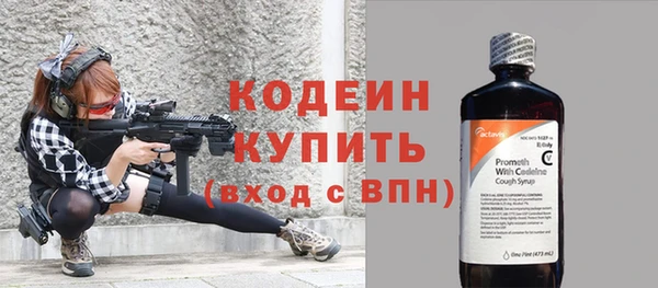 шишки Богородск
