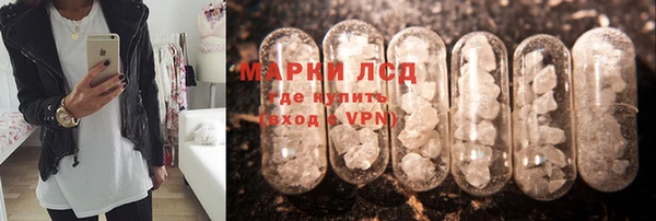 шишки Богородск